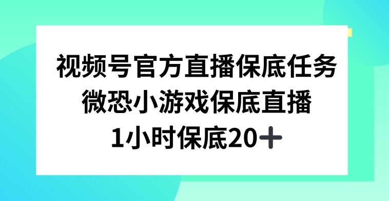 视频号直播任务，微恐小游戏，1小时20+【揭秘】-小伟资源网