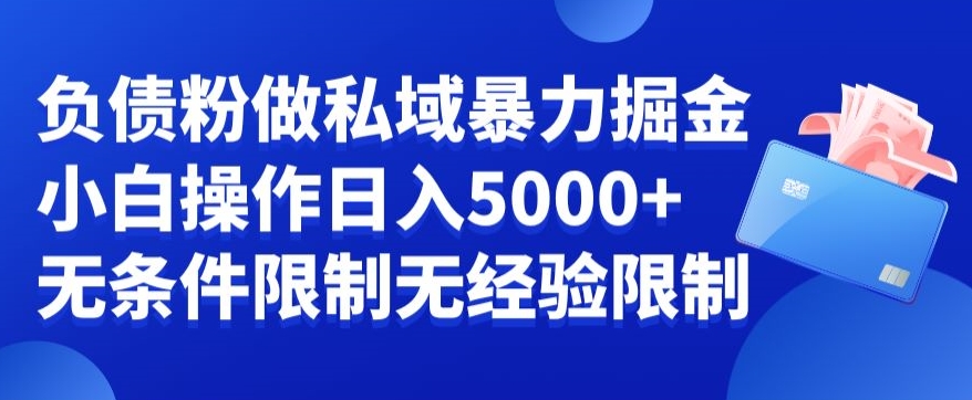 负债粉私域暴力掘金，小白操作入5000，无经验限制，无条件限制【揭秘】-小伟资源网