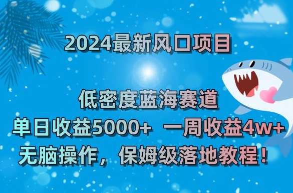 2024最新风口项目，低密度蓝海赛道，单日收益5000+，一周收益4w+！【揭秘】-小伟资源网