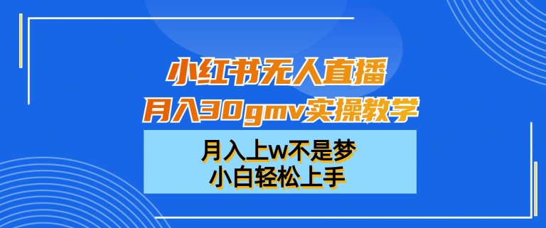 小红书无人直播月入30gmv实操教学，月入上w不是梦，小白轻松上手【揭秘】-小伟资源网