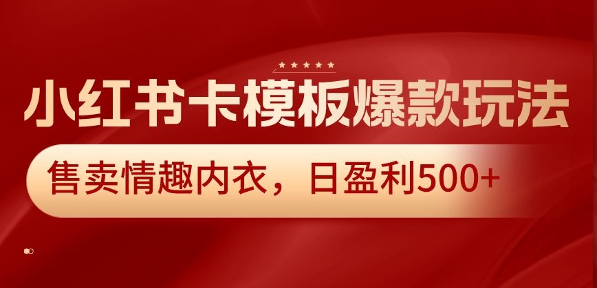 小红书卡模板爆款玩法，售卖情趣内衣，日盈利500+【揭秘】-小伟资源网