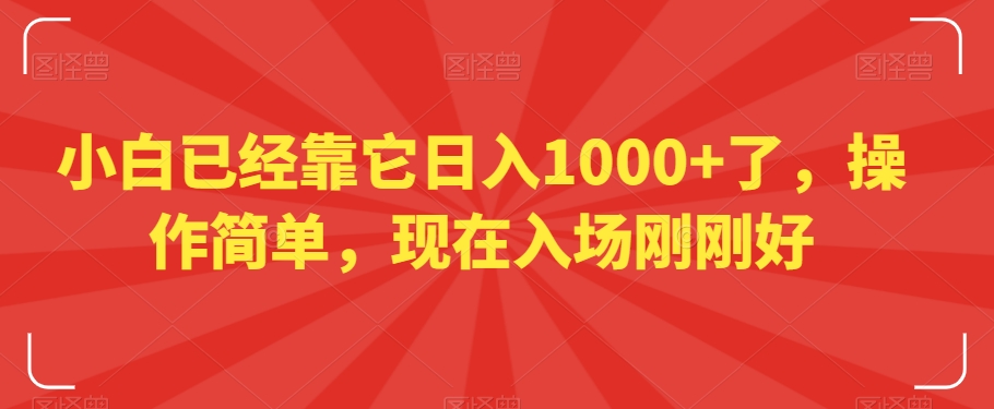 小白已经靠它日入1000+了，操作简单，现在入场刚刚好【揭秘】-小伟资源网