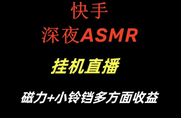 快手深夜ASMR挂机直播，磁力+小铃铛收益（附带工具和5G素材）【揭秘】-小伟资源网