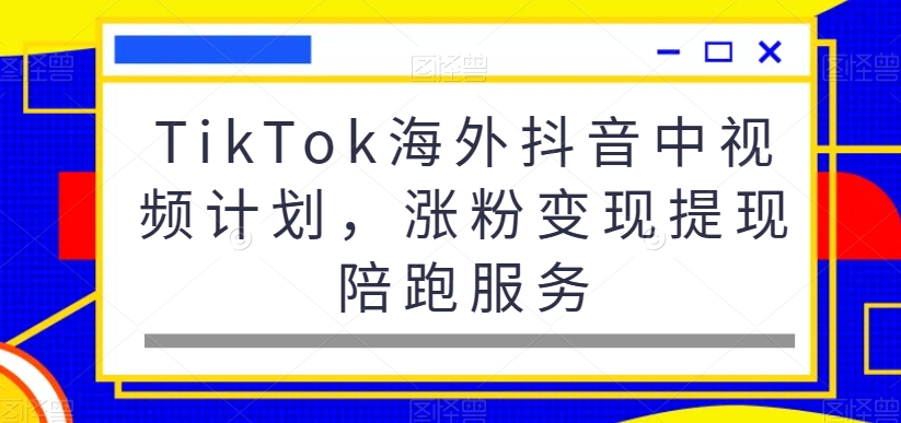 TikTok海外抖音中视频计划，涨粉变现提现陪跑服务-小伟资源网