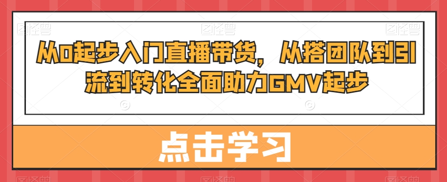 从0起步入门直播带货，​从搭团队到引流到转化全面助力GMV起步-小伟资源网