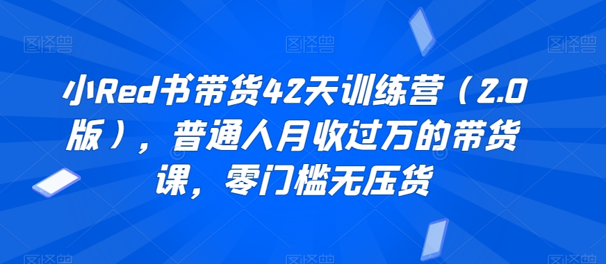 小Red书带货42天训练营（2.0版），普通人月收过万的带货课，零门槛无压货-小伟资源网