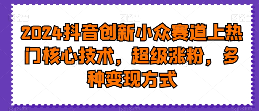 2024抖音创新小众赛道上热门核心技术，超级涨粉，多种变现方式【揭秘】-小伟资源网