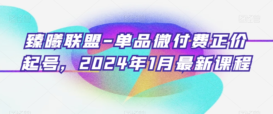 臻曦联盟-单品微付费正价起号，2024年1月最新课程-小伟资源网