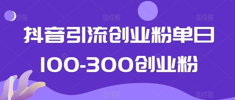 抖音引流创业粉单日100-300创业粉【揭秘】-小伟资源网