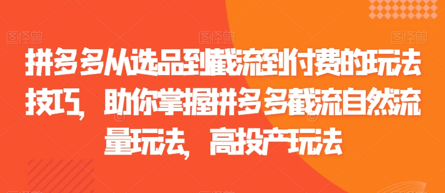 拼多多从选品到截流到付费的玩法技巧，助你掌握拼多多截流自然流量玩法，高投产玩法-小伟资源网