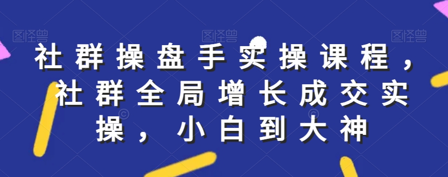 社群实操课程，社群全局增长成交实操，小白到大神-小伟资源网