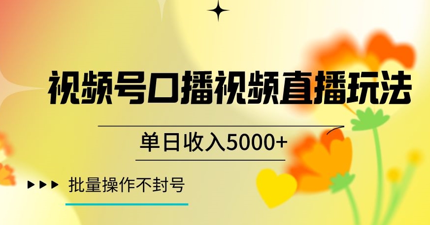 视频号囗播视频直播玩法，单日收入5000+，批量操作不封号【揭秘】-小伟资源网