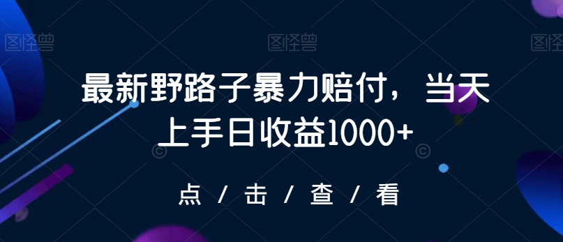 最新野路子暴力赔付，当天上手日收益1000+【仅揭秘】-小伟资源网