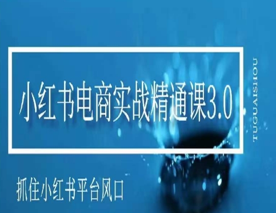 小红书电商实战精通课3.0，抓住小红书平台的风口，不错过有一个赚钱的机会-小伟资源网