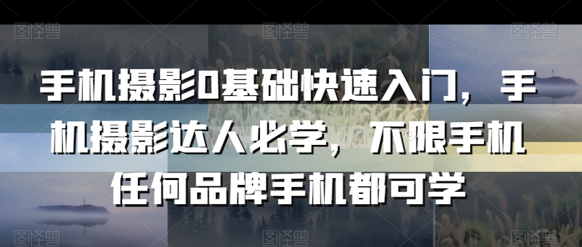 手机摄影0基础快速入门，手机摄影达人必学，不限手机任何品牌手机都可学-小伟资源网