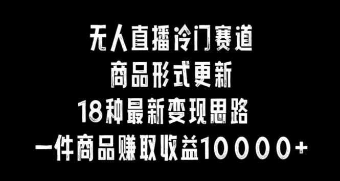 无人直播冷门赛道，商品形式更新，18种变现思路，一件商品赚取收益10000+【揭秘】-小伟资源网