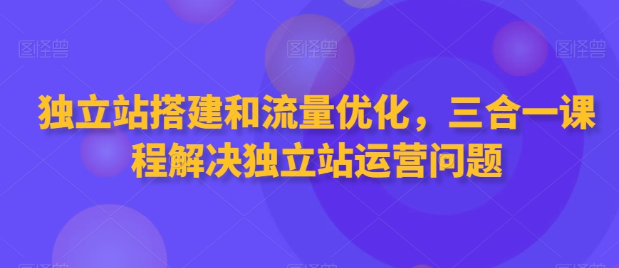 独立站搭建和流量优化，三合一课程解决独立站运营问题-小伟资源网