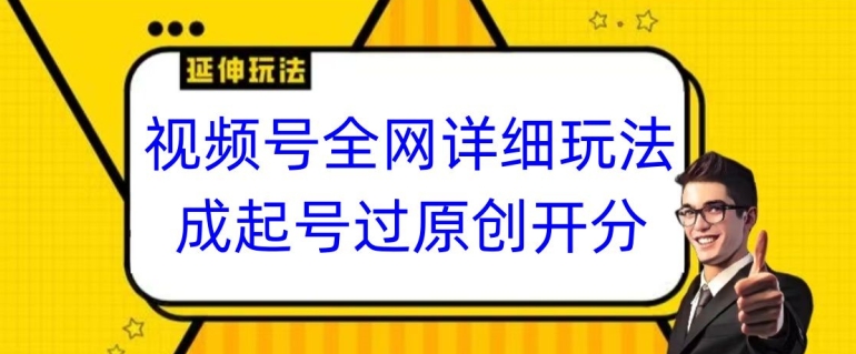 视频号全网最详细玩法，起号过原创开分成，单号日入300+【揭秘】-小伟资源网