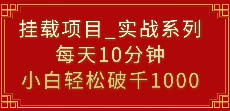 挂载项目，小白轻松破1000，每天10分钟，实战系列保姆级教程【揭秘】-小伟资源网