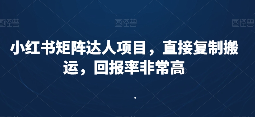 小红书矩阵达人项目，直接复制搬运，回报率非常高-小伟资源网