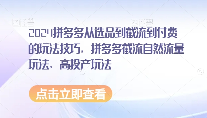 2024拼多多从选品到截流到付费的玩法技巧，拼多多截流自然流量玩法，高投产玩法-小伟资源网