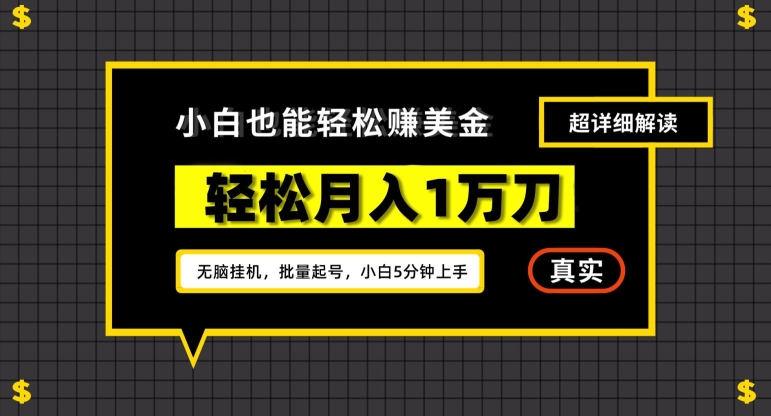 谷歌看广告撸美金2.0，无脑挂机，多号操作，月入1万刀【揭秘】-小伟资源网