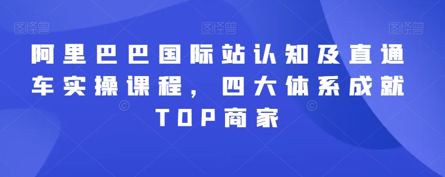 阿里巴巴国际站认知及直通车实操课程，四大体系成就TOP商家-小伟资源网