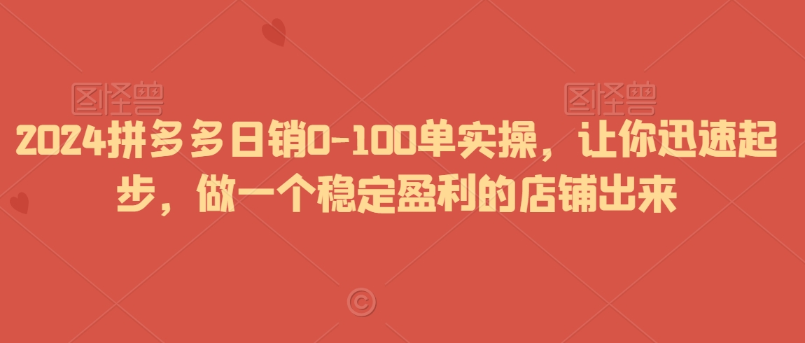 2024拼多多日销0-100单实操，让你迅速起步，做一个稳定盈利的店铺出来-小伟资源网