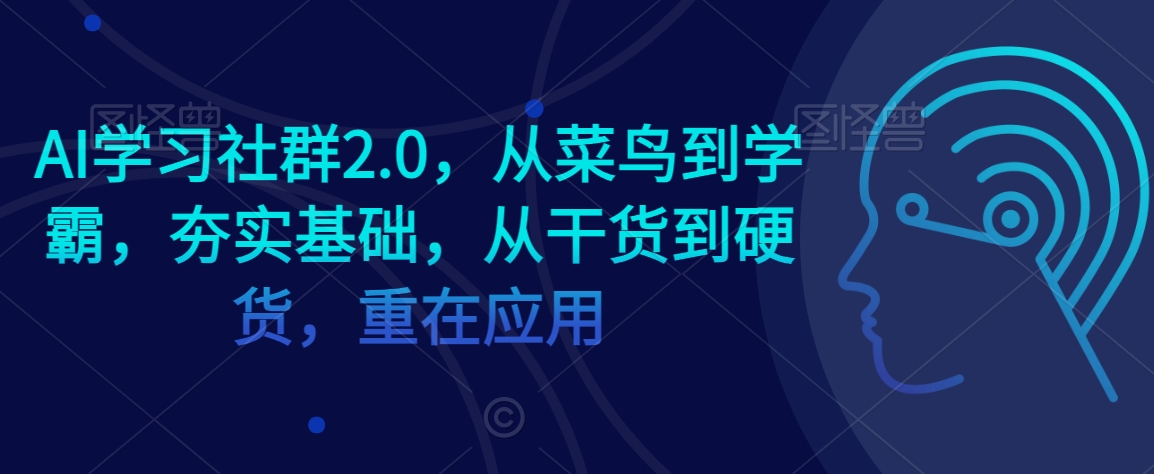 AI学习社群2.0，从菜鸟到学霸，夯实基础，从干货到硬货，重在应用-小伟资源网