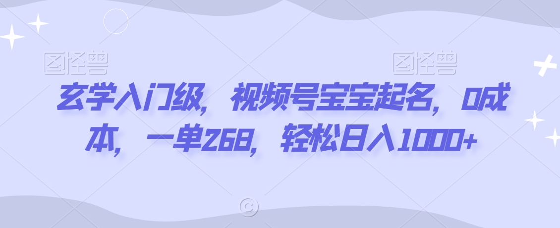 玄学入门级，视频号宝宝起名，0成本，一单268，轻松日入1000+【揭秘】-小伟资源网