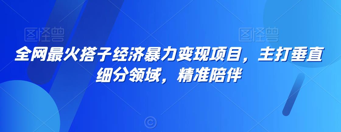 全网最火搭子经济暴力变现项目，主打垂直细分领域，精准陪伴【揭秘】-小伟资源网