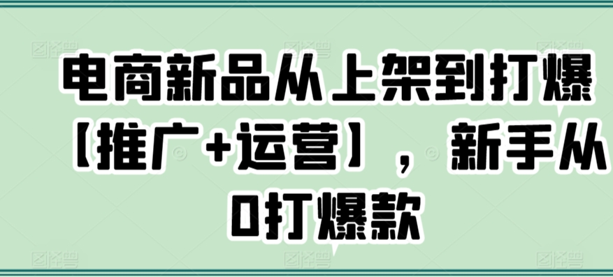 电商新品从上架到打爆【推广+运营】，新手从0打爆款-小伟资源网