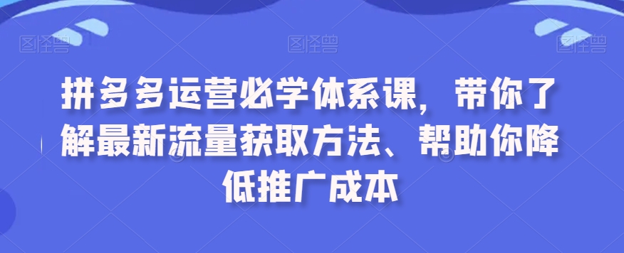 拼多多运营必学体系课，带你了解最新流量获取方法、帮助你降低推广成本-小伟资源网