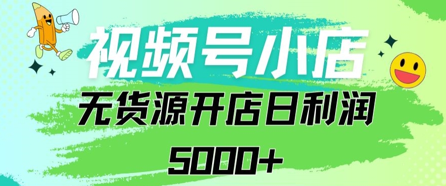 视频号无货源小店从0到1日订单量千单以上纯利润稳稳5000+【揭秘】-小伟资源网