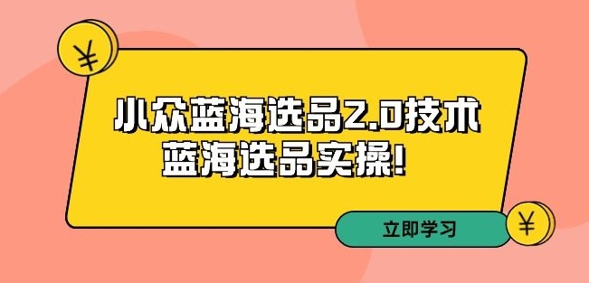 拼多多培训第33期：小众蓝海选品2.0技术-蓝海选品实操！-小伟资源网