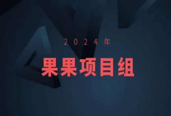 2024年果果项目组项目合集-果果最新项目-小伟资源网