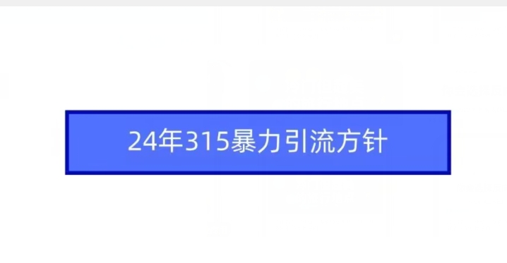 24年315暴力引流方针-小伟资源网