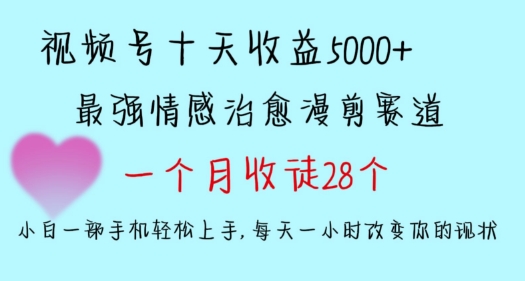 十天收益5000+，多平台捞金，视频号情感治愈漫剪，一个月收徒28个，小白一部手机轻松上手【揭秘】-小伟资源网