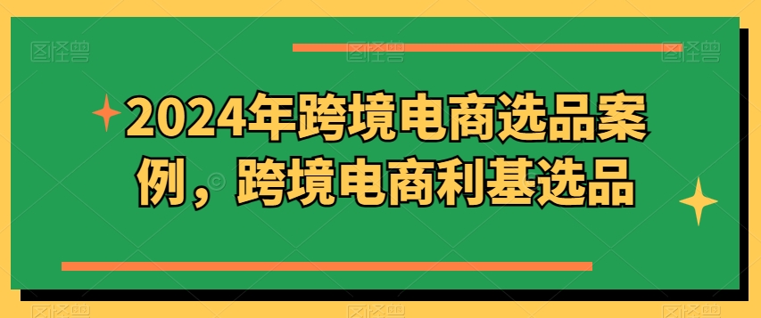 2024年跨境电商选品案例，跨境电商利基选品（更新）-小伟资源网