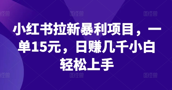 小红书拉新暴利项目，一单15元，日赚几千小白轻松上手【揭秘】-小伟资源网