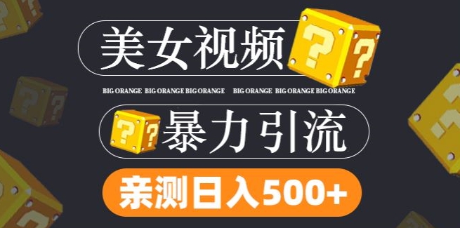 搬运tk美女视频全网分发，日引s粉300+，轻松变现，不限流量不封号【揭秘】-小伟资源网