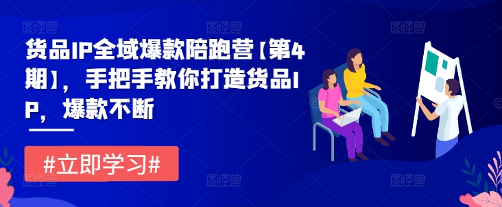 货品IP全域爆款陪跑营【第4期】，手把手教你打造货品IP，爆款不断-小伟资源网