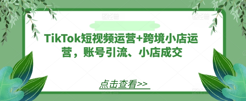 TikTok短视频运营+跨境小店运营，账号引流、小店成交-小伟资源网