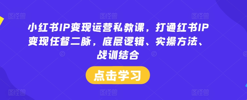 小红书IP变现运营私教课，打通红书IP变现任督二脉，底层逻辑、实操方法、战训结合-小伟资源网