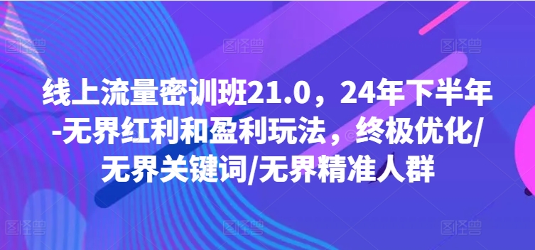 线上流量密训班21.0，24年下半年-无界红利和盈利玩法，终极优化/无界关键词/无界精准人群-小伟资源网