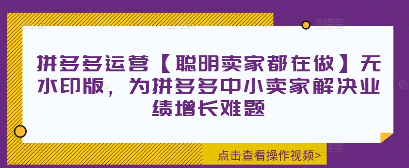 拼多多运营【聪明卖家都在做】无水印版，为拼多多中小卖家解决业绩增长难题-小伟资源网