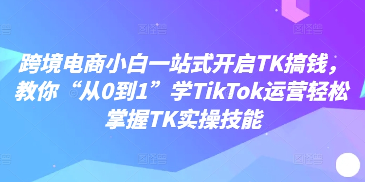 跨境电商小白一站式开启TK搞钱，教你“从0到1”学TikTok运营轻松掌握TK实操技能-小伟资源网