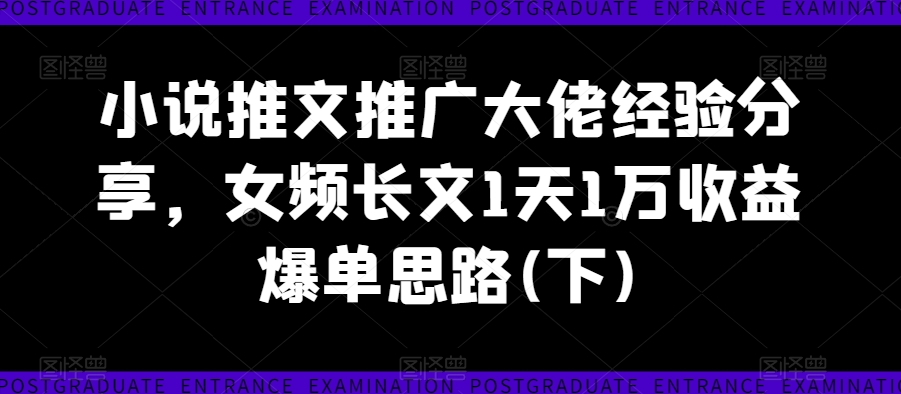 小说推文推广大佬经验分享，女频长文1天1万收益爆单思路(下)-小伟资源网