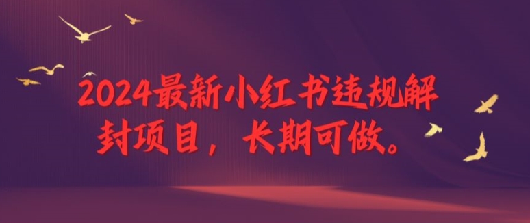 2024最新小红书违规解封项目，长期可做，一个可以做到退休的项目【揭秘】-小伟资源网