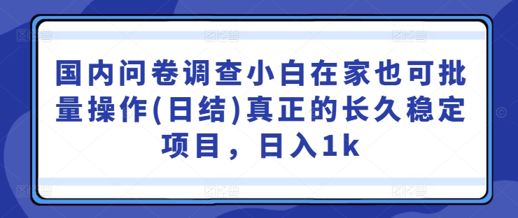 国内问卷调查小白在家也可批量操作(日结)真正的长久稳定项目，日入1k【揭秘】-小伟资源网